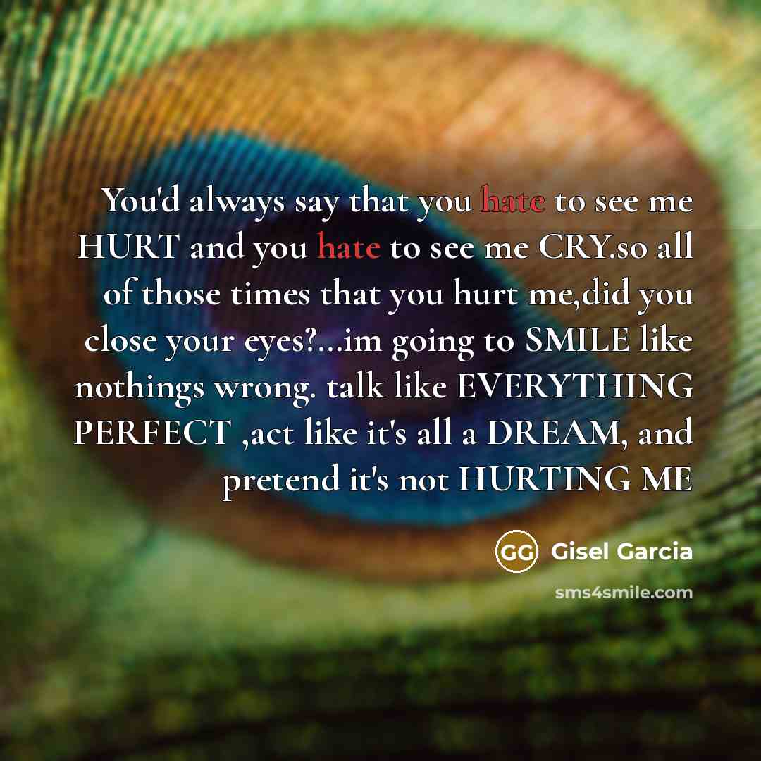 “You'd always say that you hate to see me HURT…” quote by Gisel Garcia