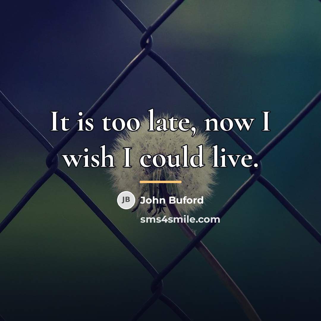“It is too late, now I wish I could live.…” quote by John Buford