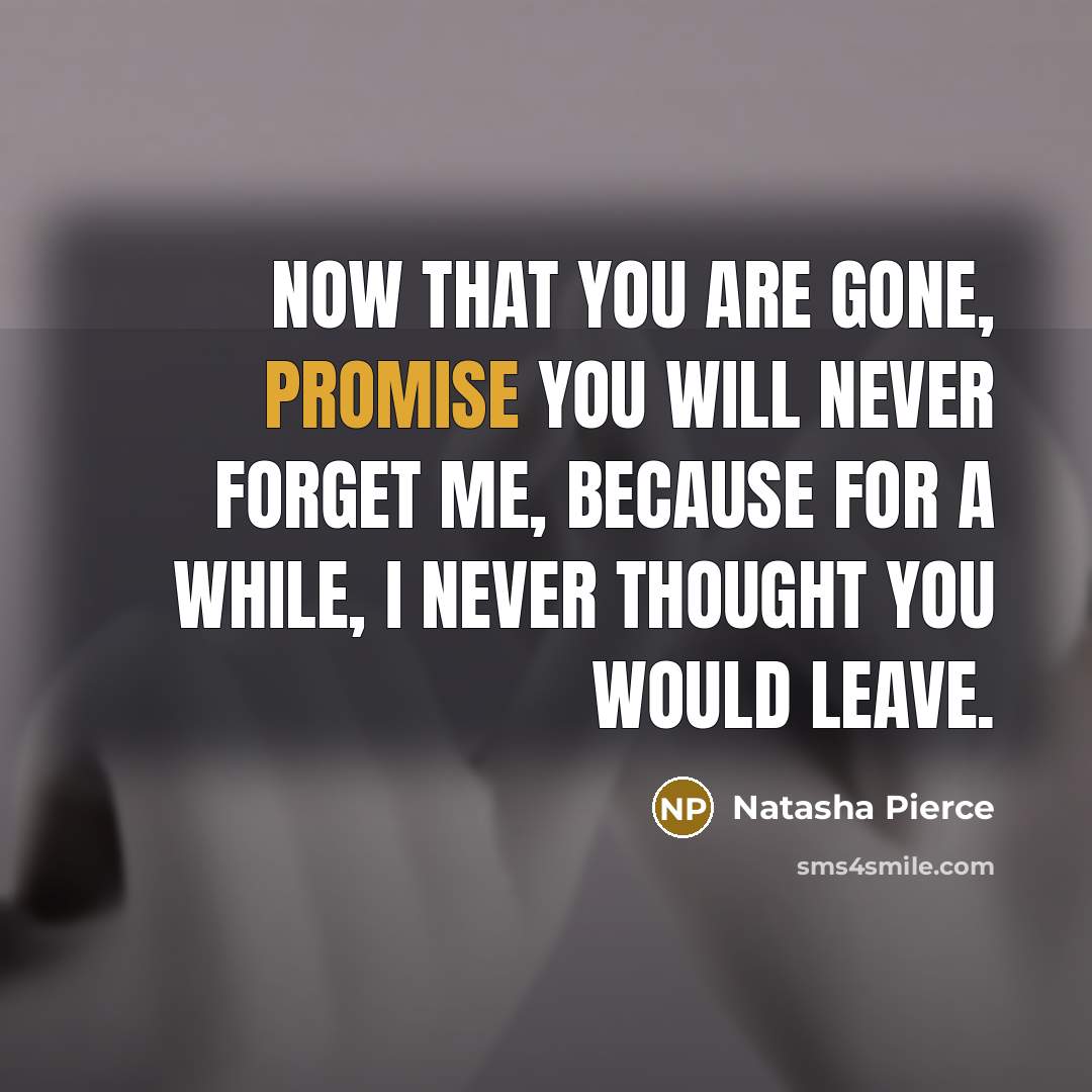 “Now that you are gone, promise you will never forget me, because for a while, I never thought you would leave.” quote by Natasha Pierce