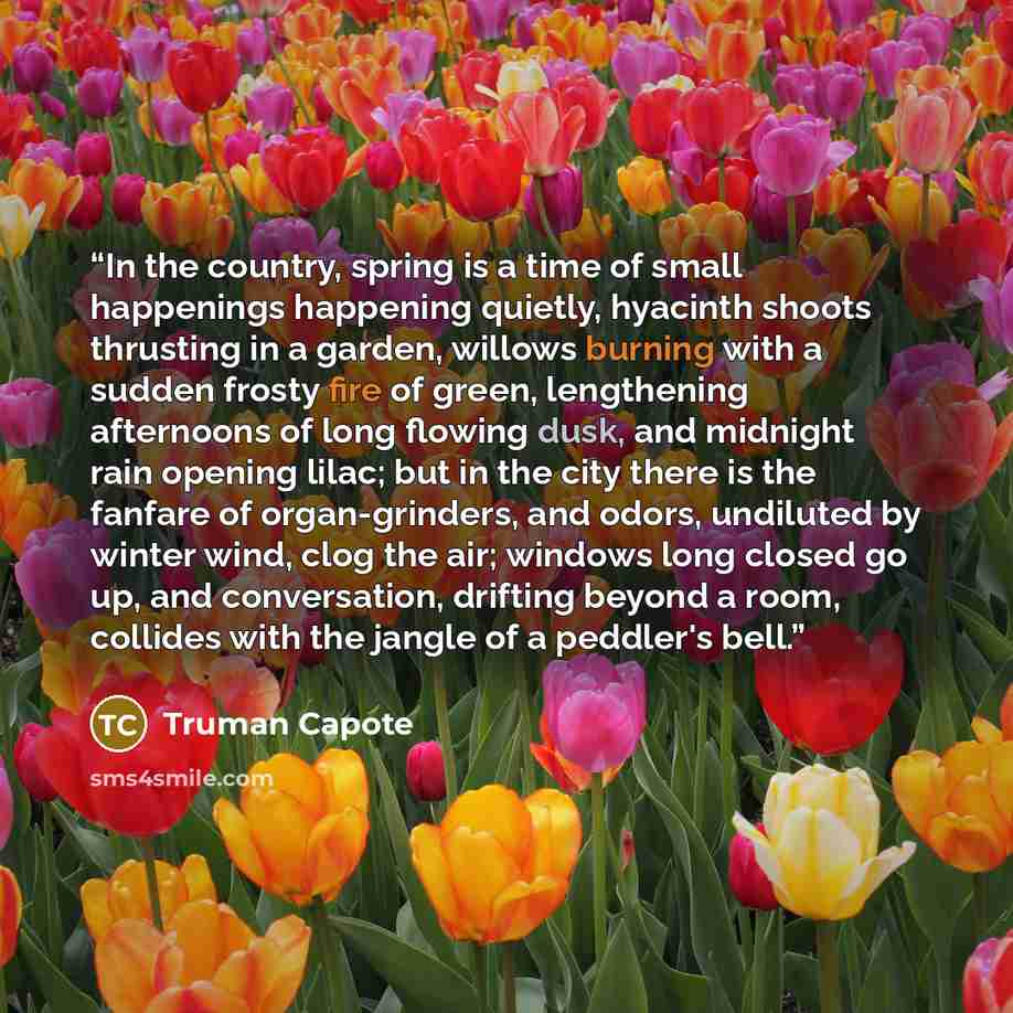 “In the country, spring is a time of small happenings happening quietly, hyacinth shoots thrusting in a garden, willows burning with a sudden frosty fire of green, lengthening afternoons of long flowing dusk, and midnight rain opening lilac; but in the city there is the fanfare of organ-grinders…” quote by Truman Capote