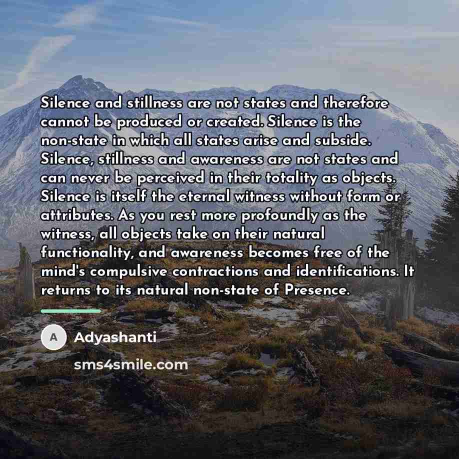 “Silence and stillness are not states and therefore cannot be…” quote by Adyashanti