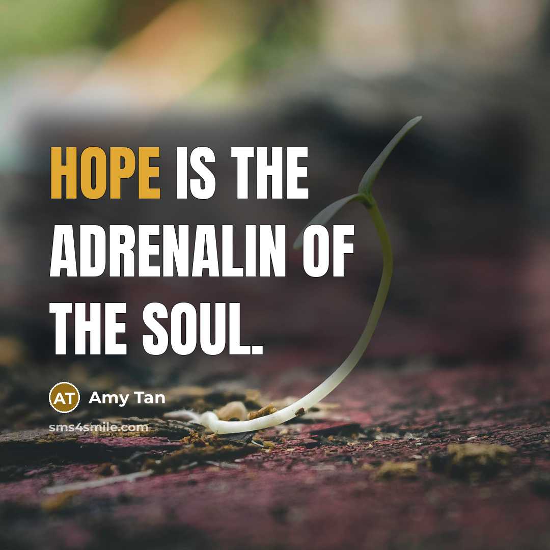 “Hope is the adrenalin of the soul.…” quote by Amy Tan
