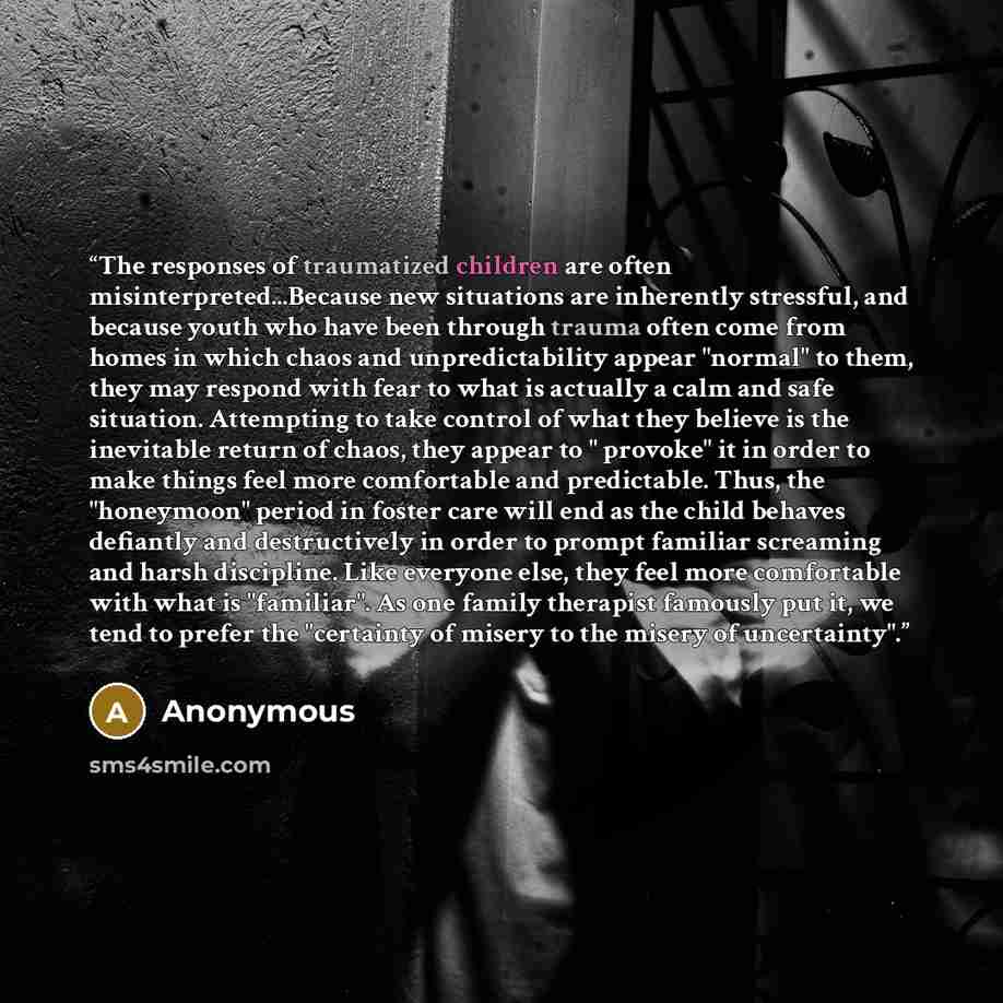 “The responses of traumatized children are often misinterpreted...Because new situations are inherently stressful, and because youth who have been through trauma often come from homes in which chaos and unpredictability appear "normal" to them, they may respond with fear to what is actually a calm…” quote by Anonymous