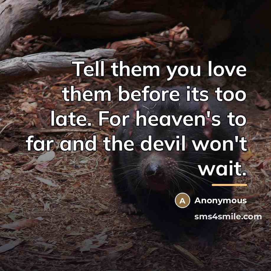“Tell them you love them before its too late. For…” quote by Anonymous