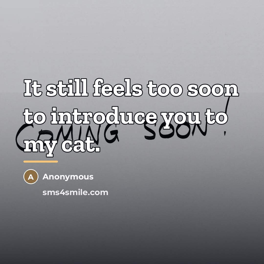 “It still feels too soon to introduce you to my…” quote by Anonymous