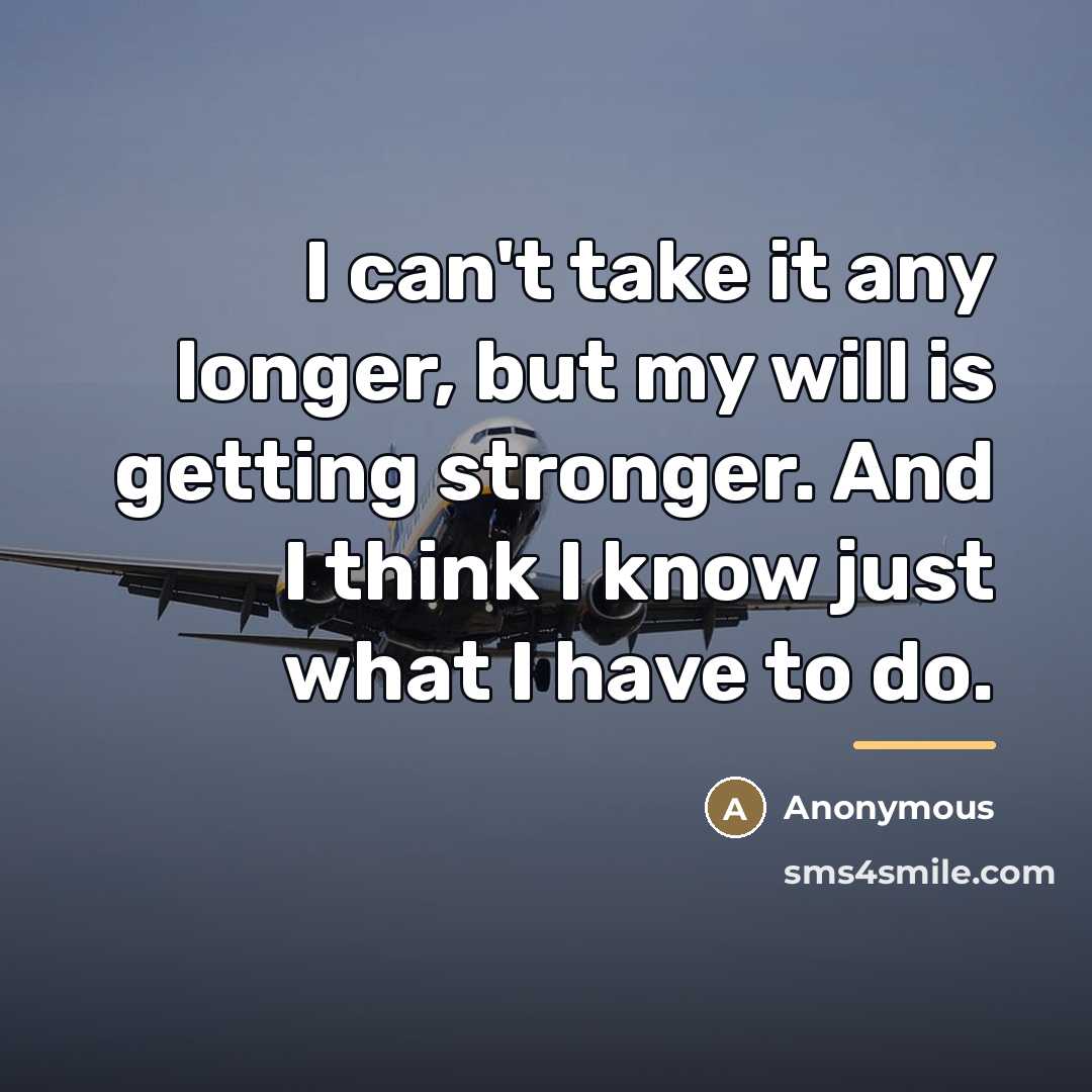 “I can't take it any longer, but my will is…” quote by Anonymous