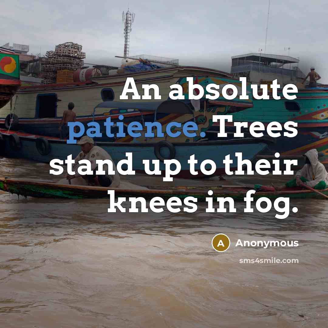 “An absolute patience. Trees stand up to their knees in fog.” quote by Anonymous