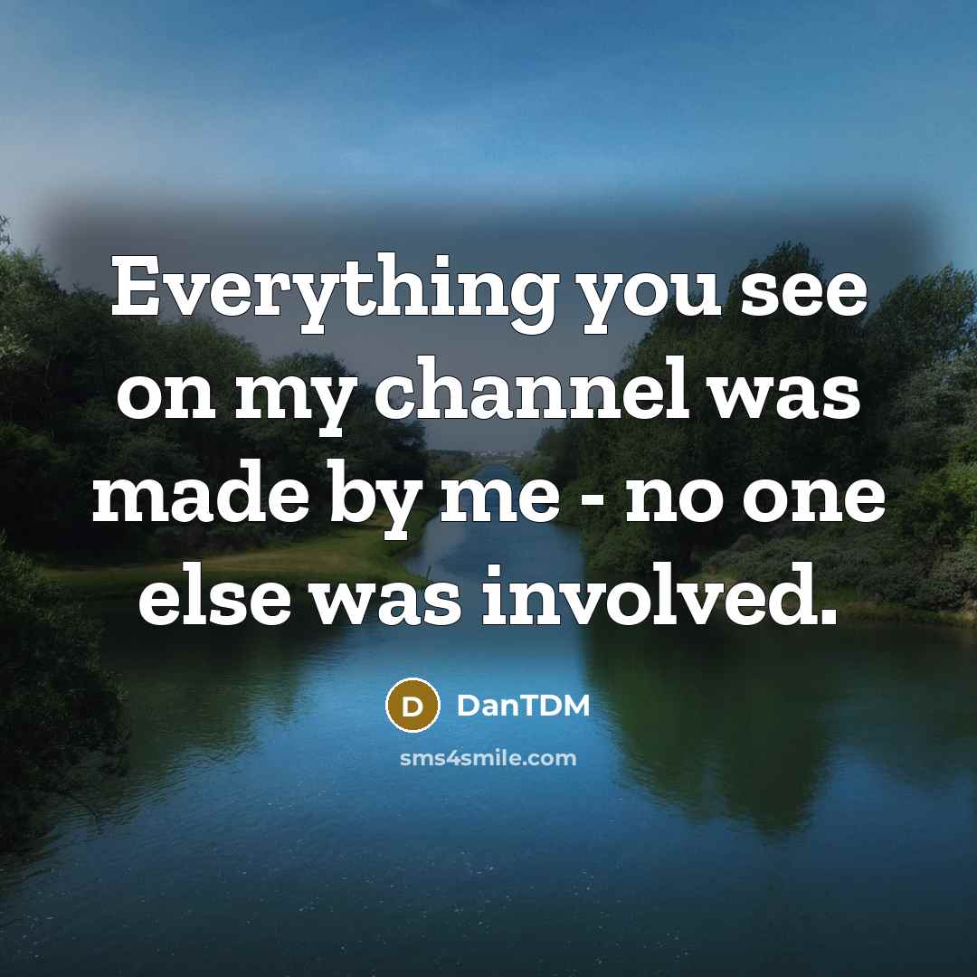 “Everything you see on my channel was made by me…” quote by DanTDM