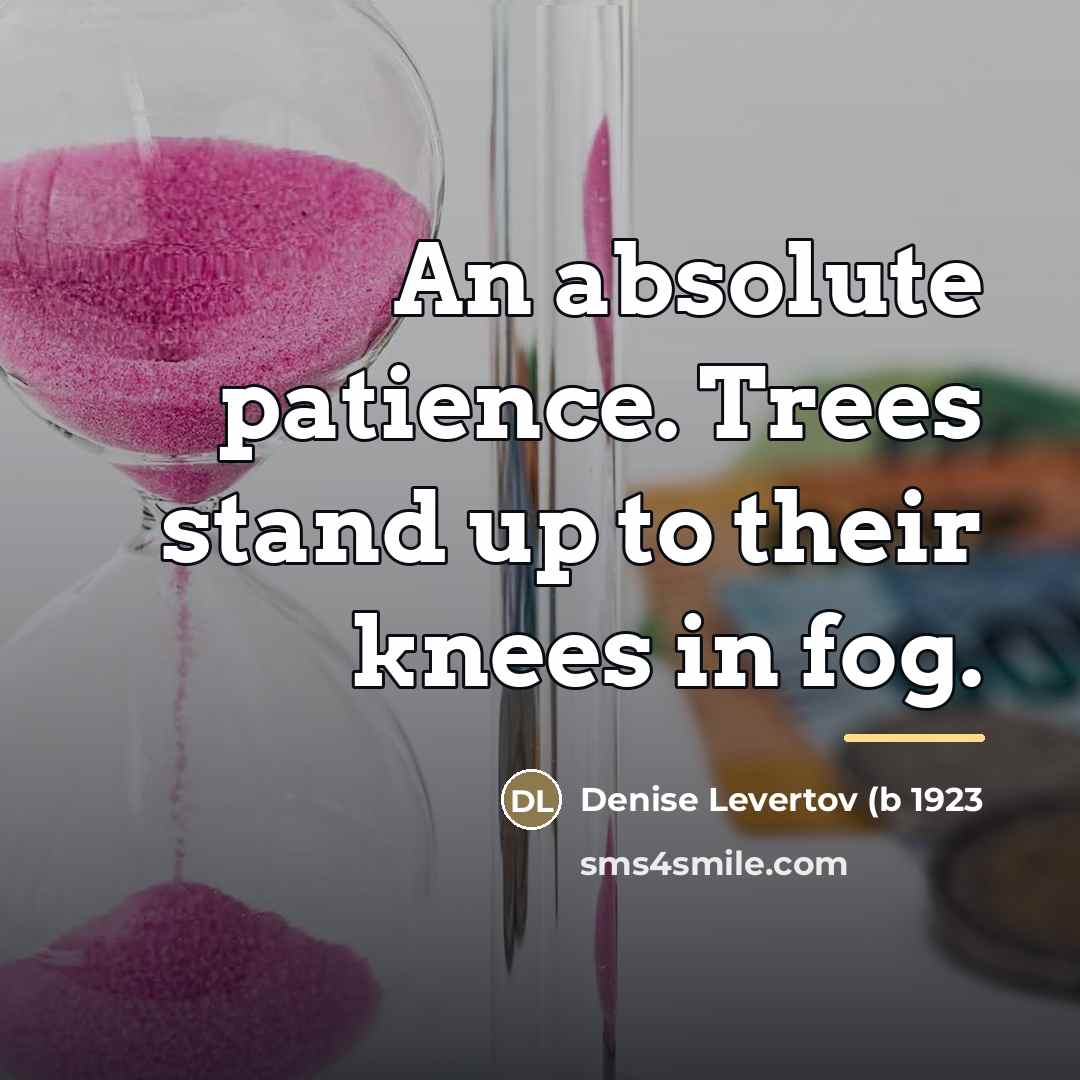 “An absolute patience. Trees stand up to their knees in…” quote by Anonymous