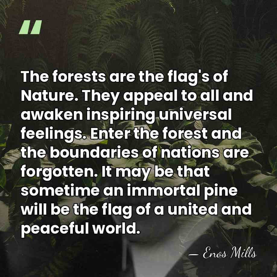 The forests are the flag's of Nature. They appeal to all and&hellip; - Enos Mills