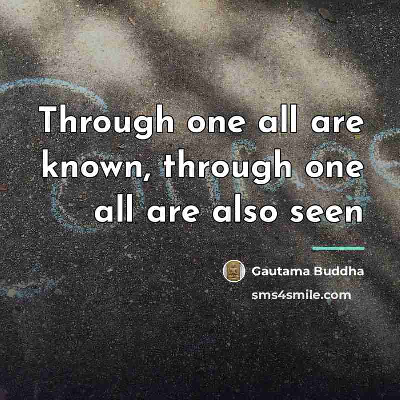 “Through one all are known, through one all are also…” quote by Gautama Buddha