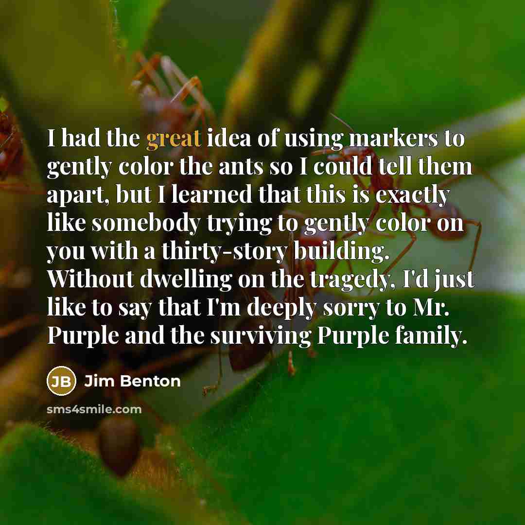 “I had the great idea of using markers to gently…” quote by Jim Benton