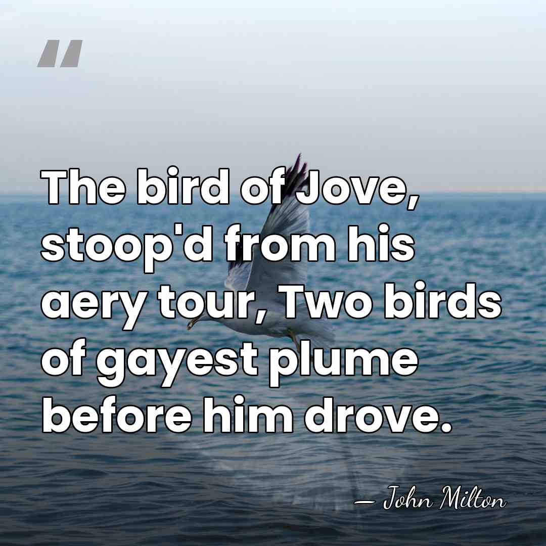 The bird of Jove, stoop'd from his aery tour, Two birds of&hellip; - John Milton