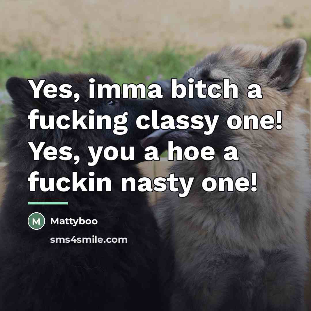 “Yes, imma bitch a fucking classy one! Yes, you a…” quote by Mattyboo