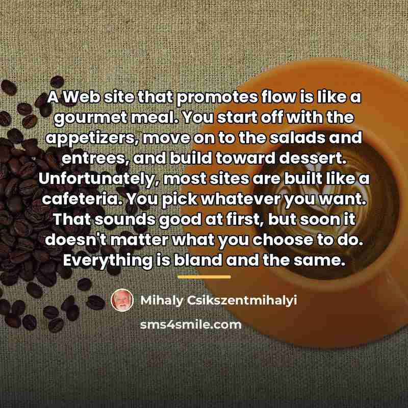 “A Web site that promotes flow is like a gourmet…” quote by Mihaly Csikszentmihalyi