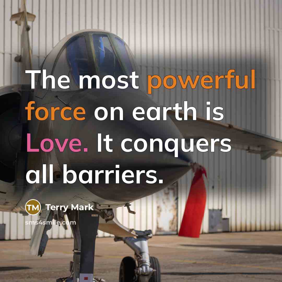 “The most powerful force on earth is Love. It conquers all barriers.” quote by Terry Mark