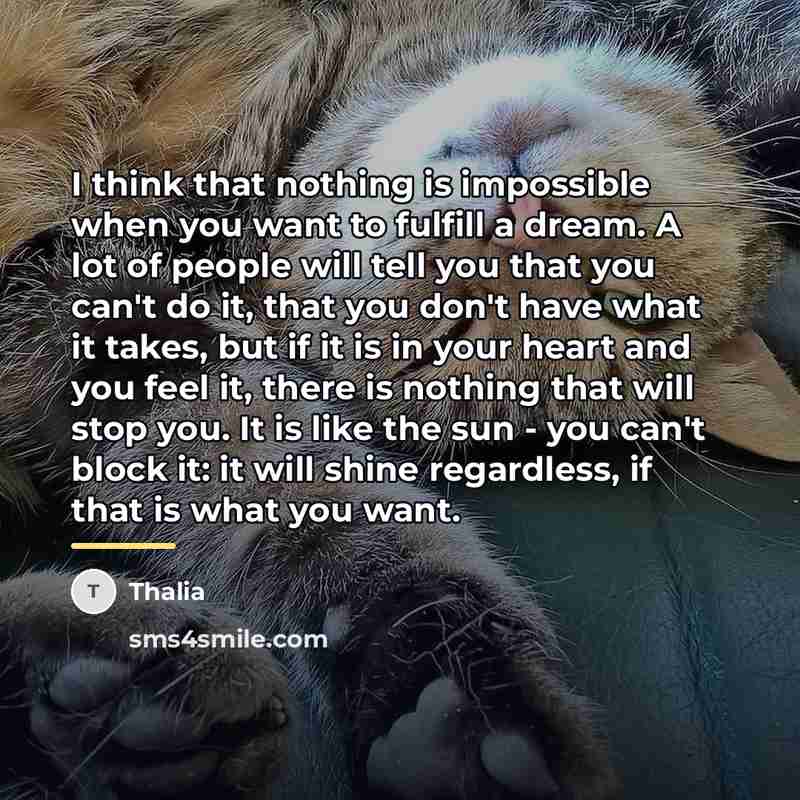 “I think that nothing is impossible when you want to…” quote by Thalia