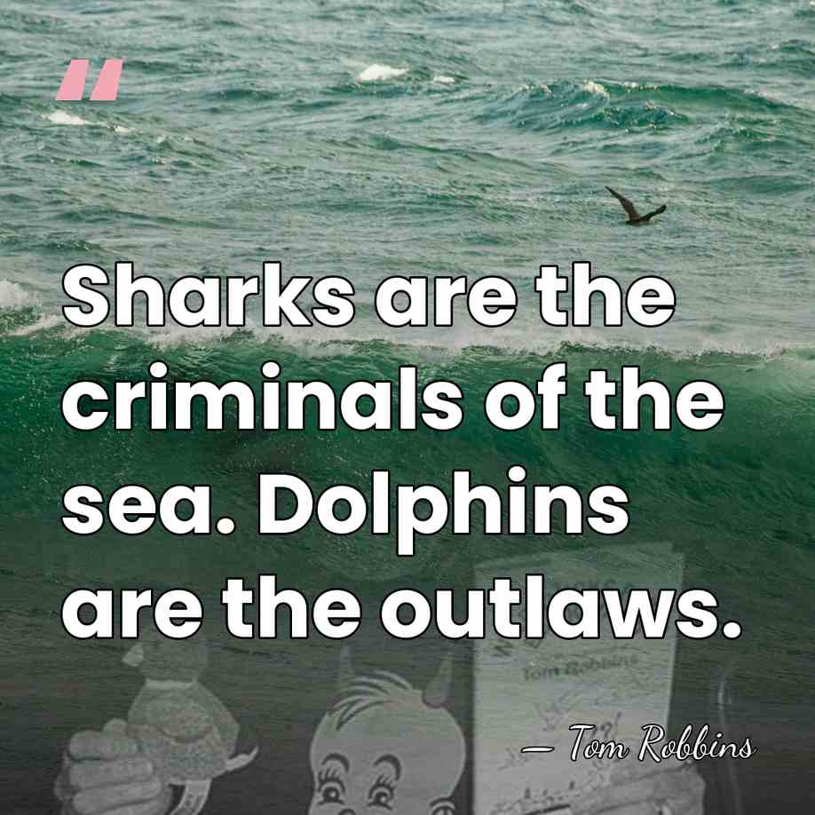 Sharks are the criminals of the sea. Dolphins are the outlaws. - Tom Robbins