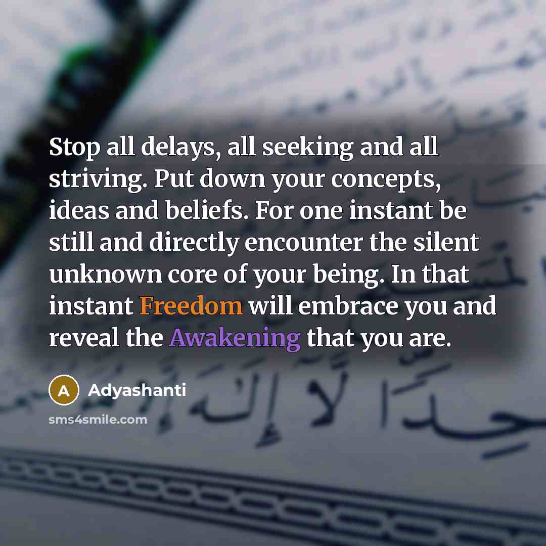 “Stop all delays, all seeking and all striving. Put down…” quote by Adyashanti