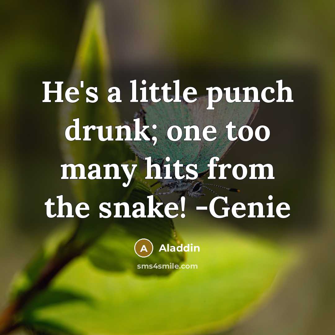 “He's a little punch drunk; one too many hits from…” quote by Aladdin