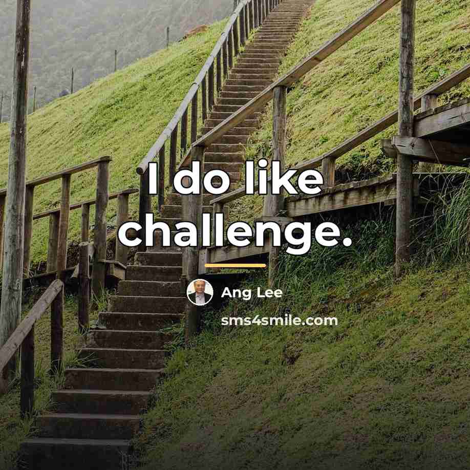 “I do like challenge.…” quote by Ang Lee