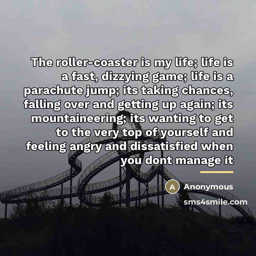 “The roller-coaster is my life; life is a fast, dizzying…” quote by Anonymous