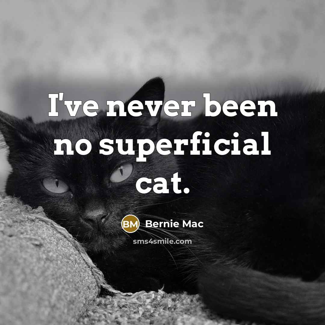“I've never been no superficial cat.…” quote by Bernie Mac