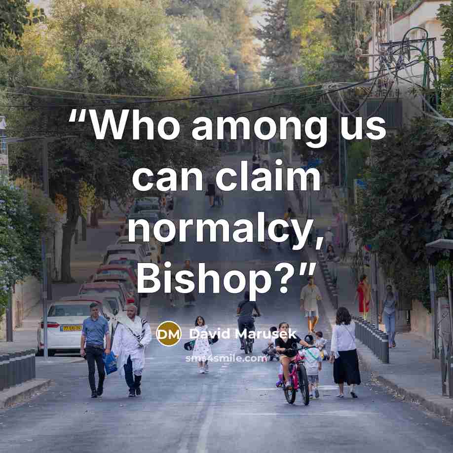 “Who among us can claim normalcy, Bishop?” quote by David Marusek