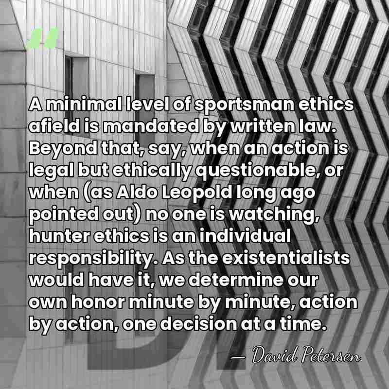 A minimal level of sportsman ethics afield is mandated by written law.&hellip; - David Petersen