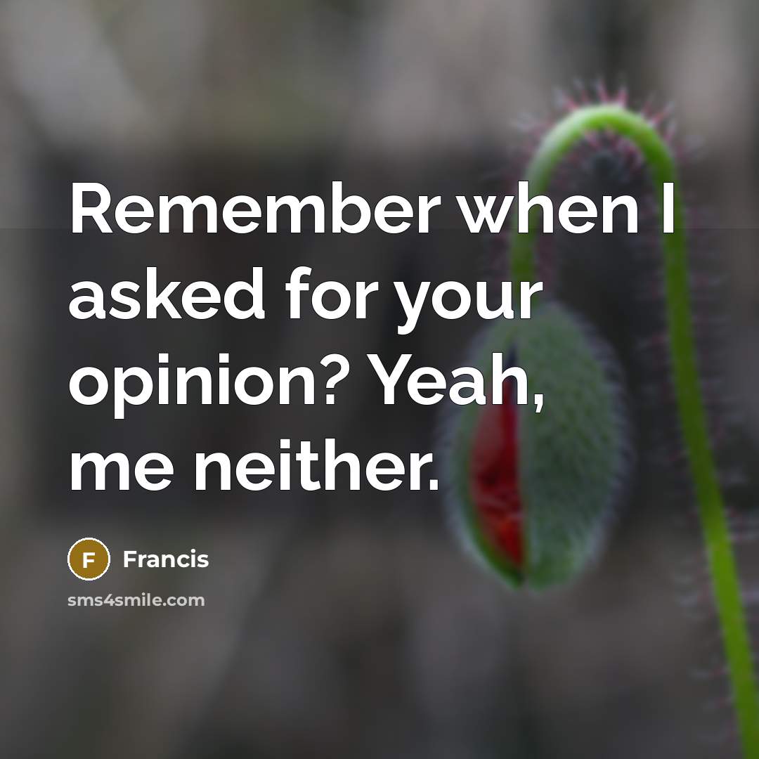 “Remember when I asked for your opinion? Yeah, me neither.” quote by Francis