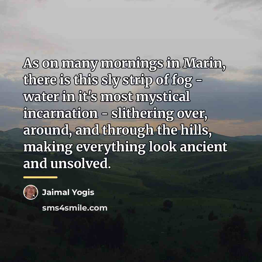 “As on many mornings in Marin, there is this sly…” quote by Jaimal Yogis