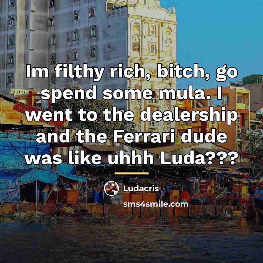 “Im filthy rich, bitch, go spend some mula. I went…” quote by Ludacris