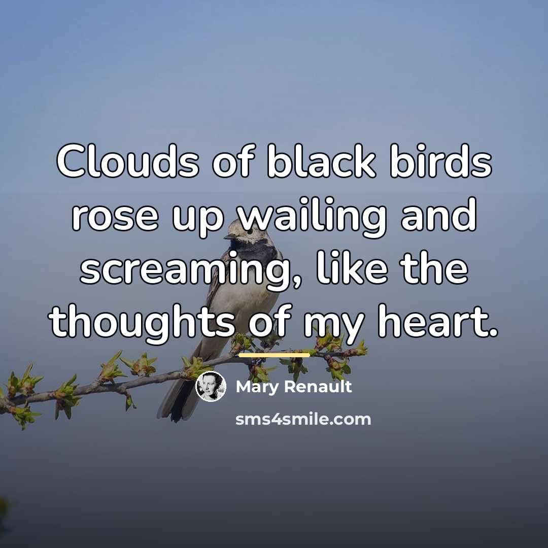 “Clouds of black birds rose up wailing and screaming, like…” quote by Mary Renault