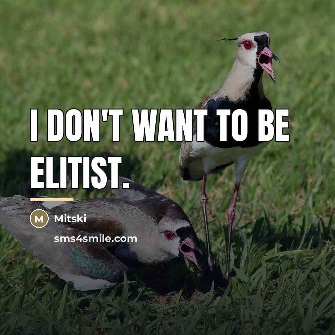 “I don't want to be elitist.…” quote by Mitski