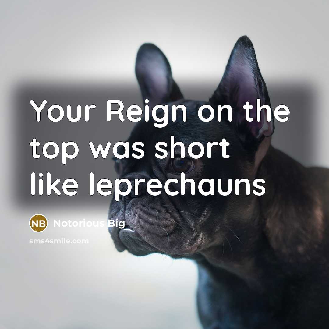 “Your Reign on the top was short like leprechauns…” quote by Notorious Big