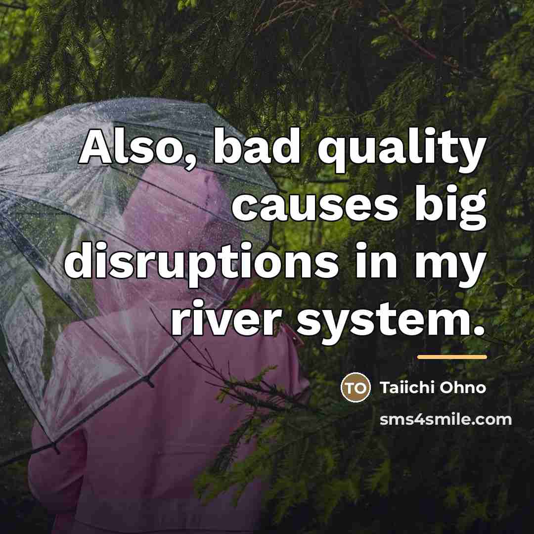 “Also, bad quality causes big disruptions in my river system.…” quote by Taiichi Ohno