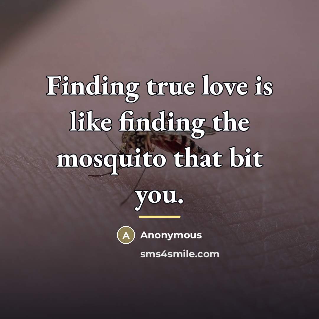 “Finding true love is like finding the mosquito that bit…” quote by Anonymous
