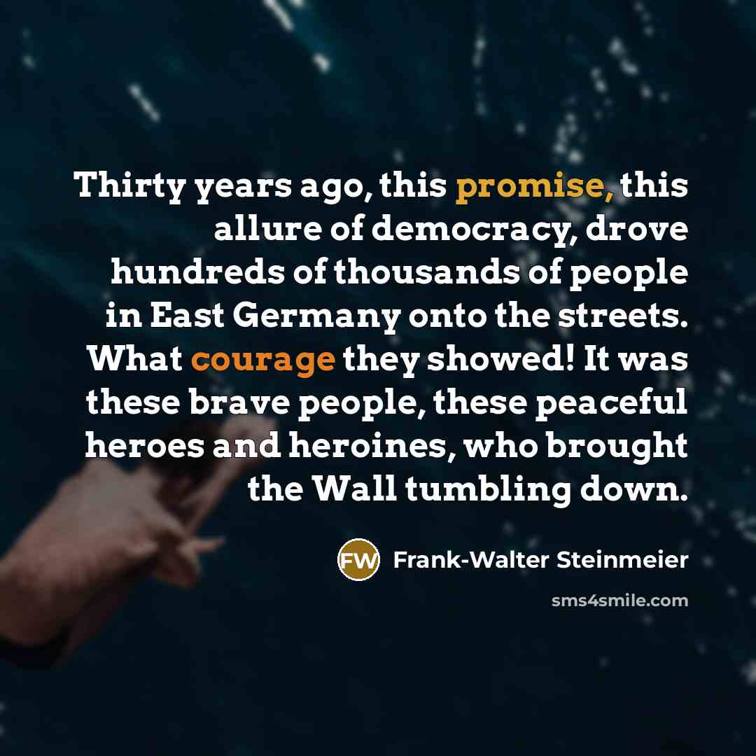 “Thirty years ago, this promise, this allure of democracy, drove…” quote by Frank-Walter Steinmeier