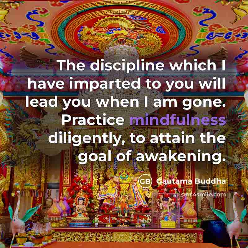 “The discipline which I have imparted to you will lead…” quote by Gautama Buddha