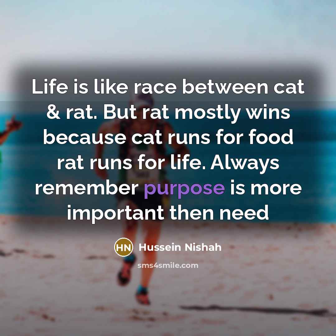 “Life is like race between cat & rat. But rat…” quote by Hussein Nishah