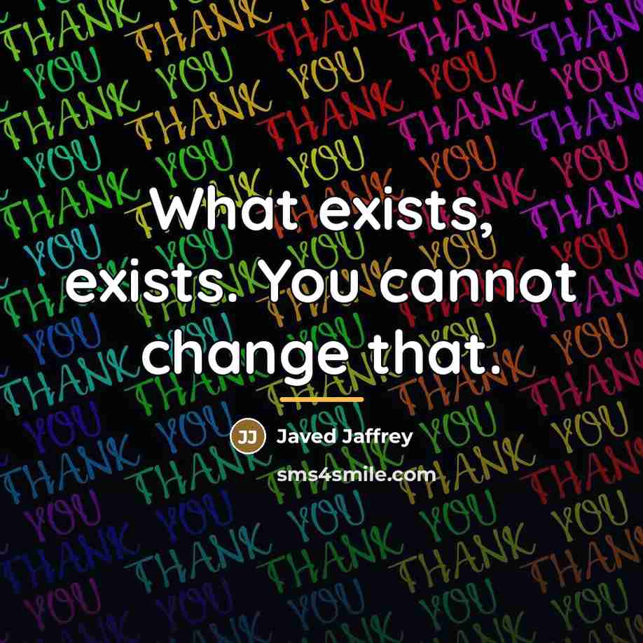 “What exists, exists. You cannot change that.…” quote by Javed Jaffrey