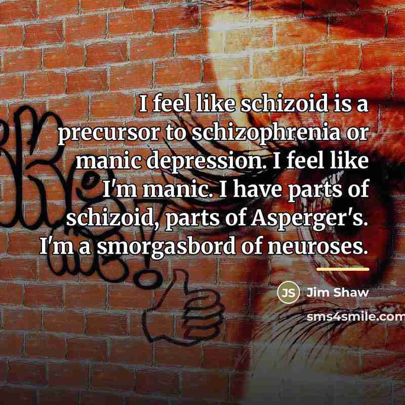 “I feel like schizoid is a precursor to schizophrenia or…” quote by Jim Shaw