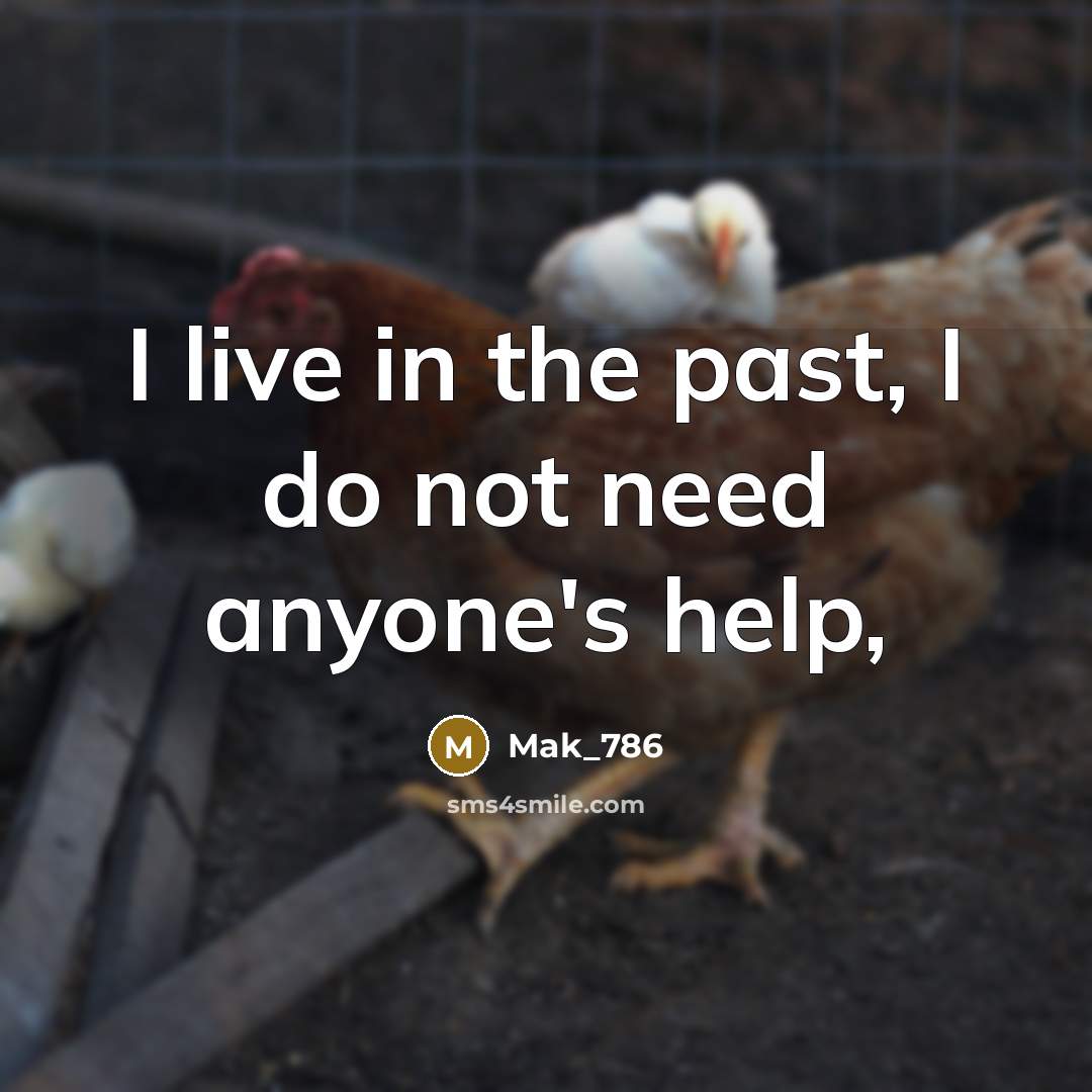 “I live in the past, I do not need anyone's help,” quote by Mak_786