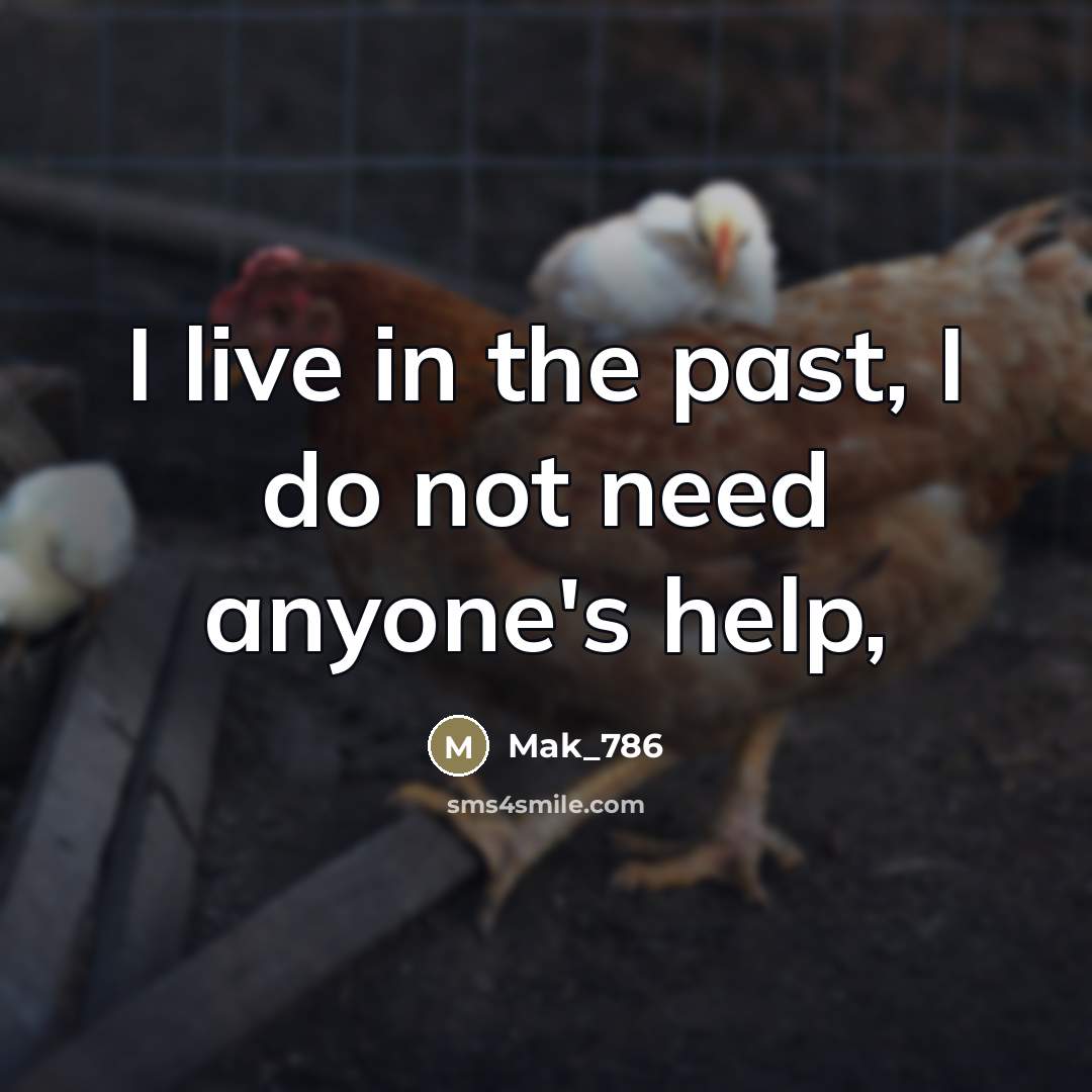 “I live in the past, I do not need anyone's…” quote by Mak_786
