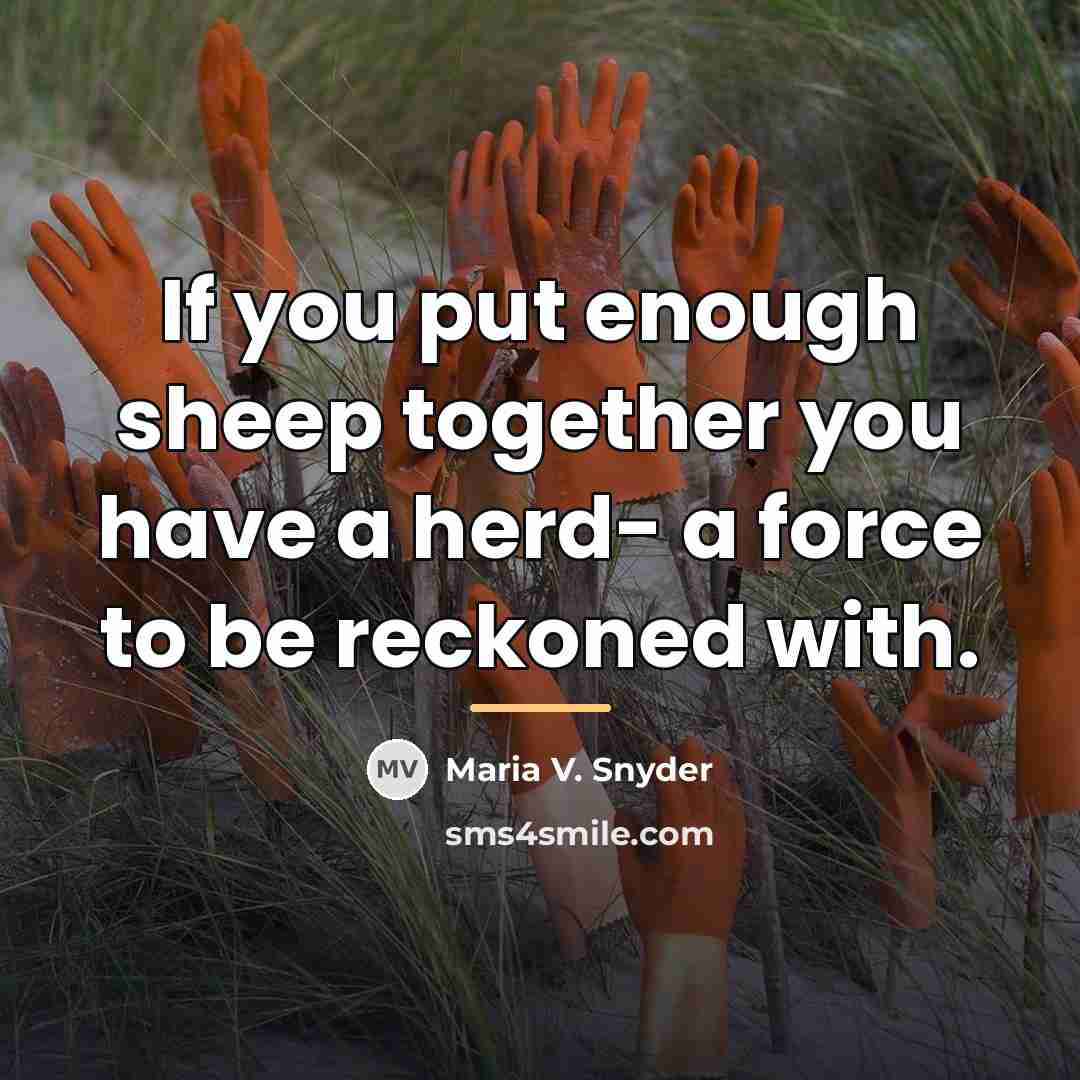 “If you put enough sheep together you have a herd-…” quote by Maria V. Snyder