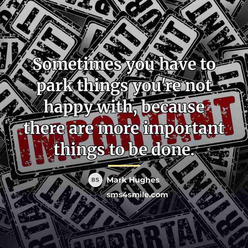 “Sometimes you have to park things you're not happy with,…” quote by Mark Hughes