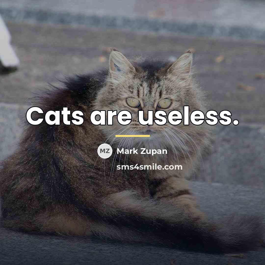 “Cats are useless.…” quote by Mark Zupan