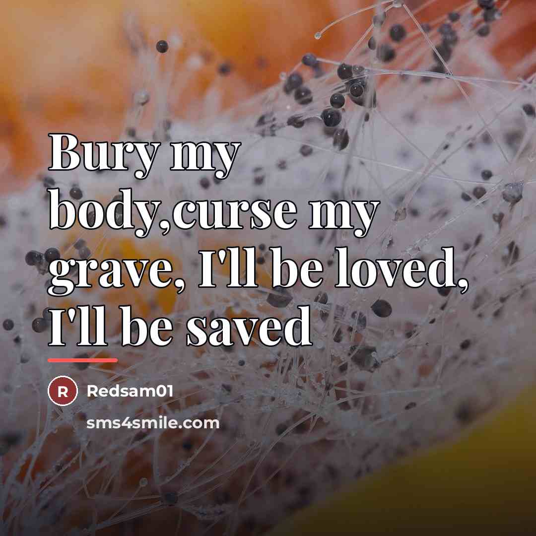 “Bury my body,curse my grave, I'll be loved, I'll be…” quote by Redsam01