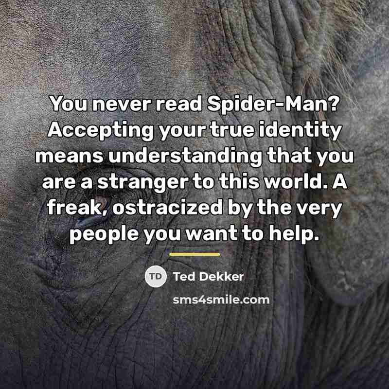 “You never read Spider-Man? Accepting your true identity means understanding…” quote by Ted Dekker