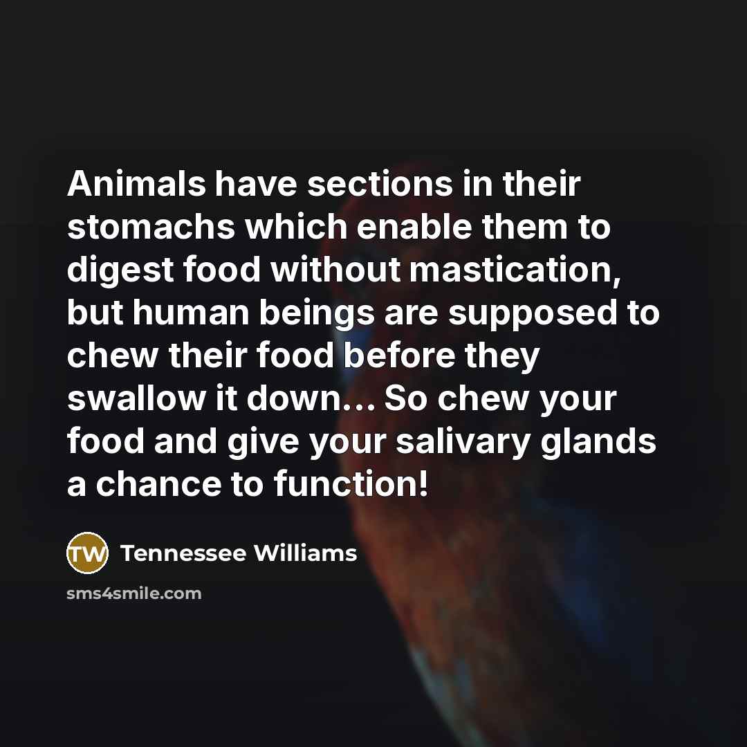 “Animals have sections in their stomachs which enable them to…” quote by Tennessee Williams